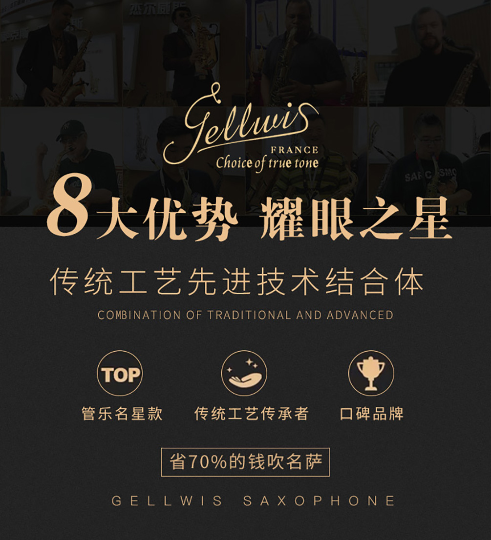 533AS薩克斯技術優勢 533AS薩克斯技術優勢